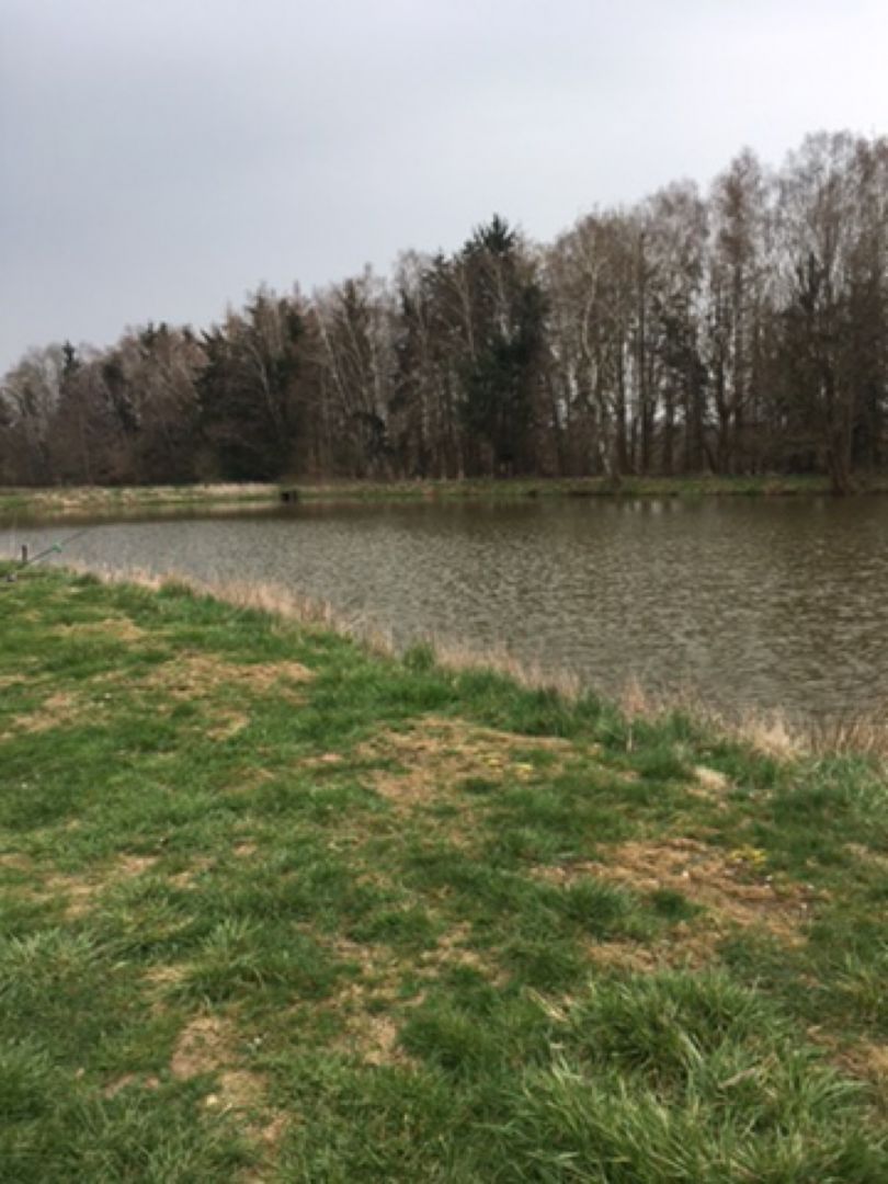 Teichanlage Rhäden (Obersuhl) angeln