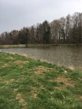 Teichanlage Rhäden (Obersuhl)