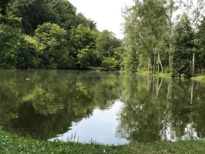 Kleiner Eisteich (Bad Köstritz)