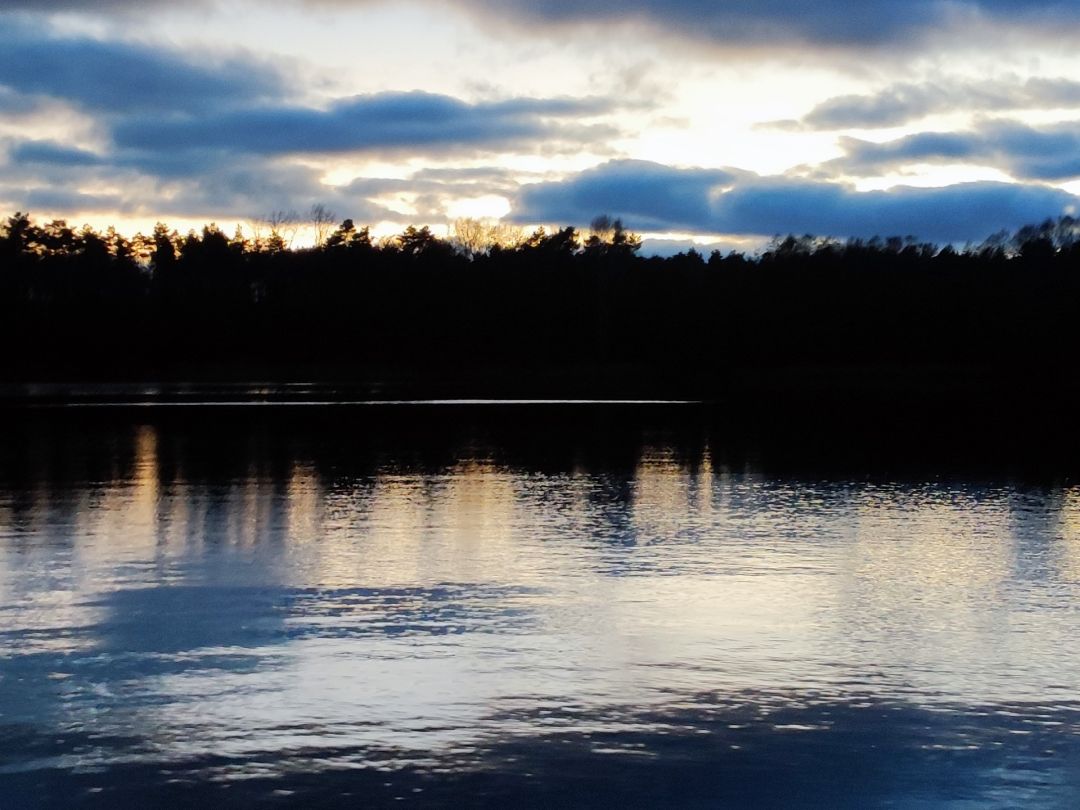 Mäckersee angeln