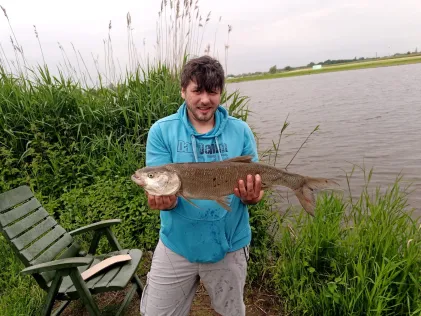 Asseltse Plassen