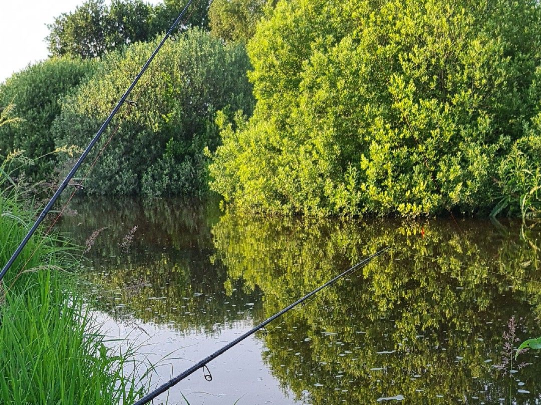 Flögelner Seeabfluss angeln