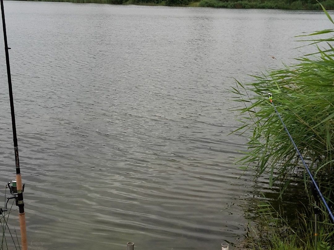 Ewaldsee (Gelsenkirchen) angeln