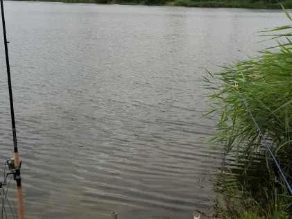 Ewaldsee (Gelsenkirchen)