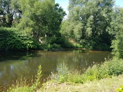 Zwickauer Mulde (Wilkau-Haßlau)