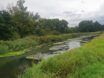 Krainke (Niendorf)