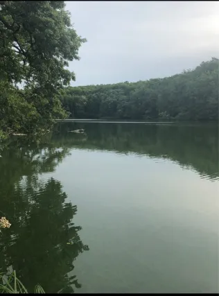 Hammersee (Siehdichum)