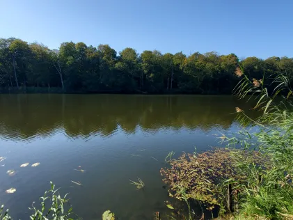Sumter See