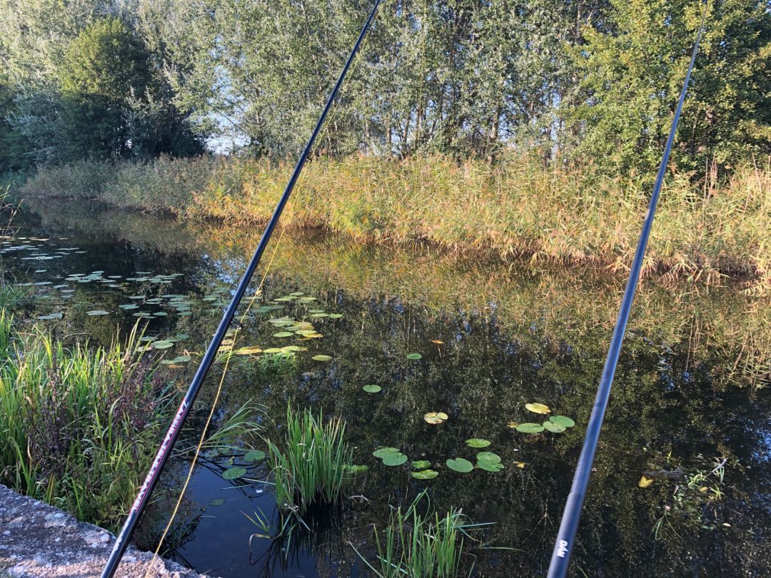 Ruppiner Kanal (Kremmen) angeln