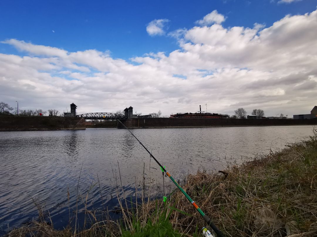 Handelshafen Magdeburg angeln