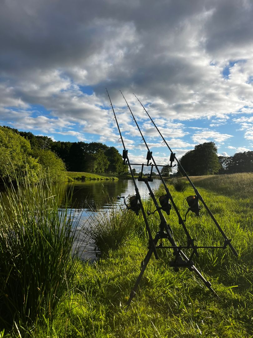 Große Süderbäke (Westerstede) angeln