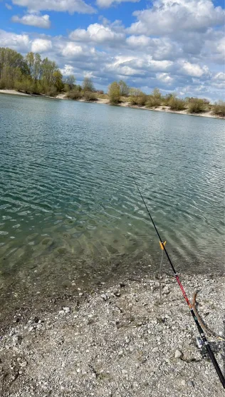 Spitzer Weiher (Geltendorf)