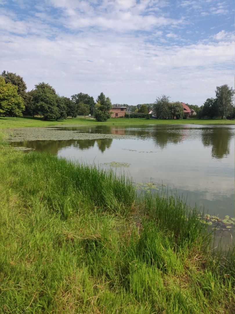 Dorfteich Treuen angeln