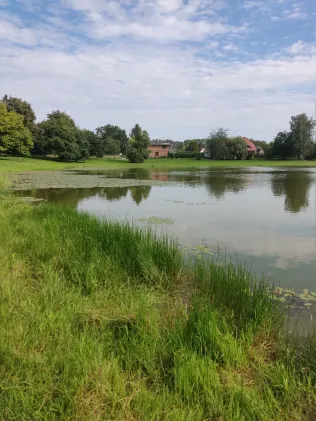 Dorfteich Treuen