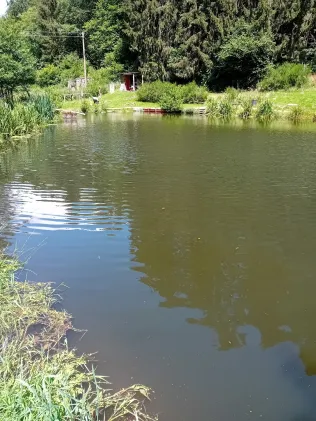 Teich Malbergweich