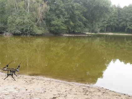Wischerteich (Danndorf)