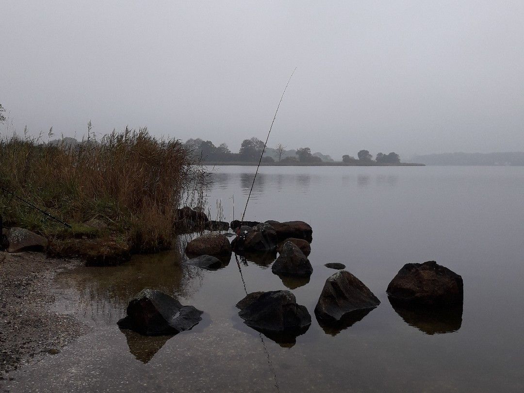 Schlei (Ulsnis) angeln