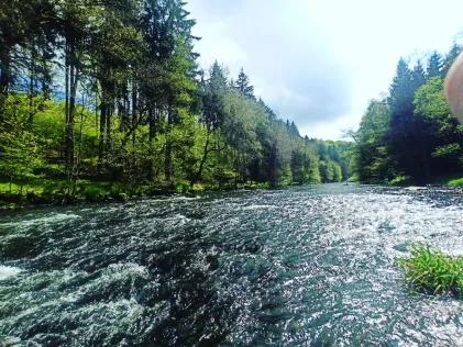 Flöha (Hohenfichte)