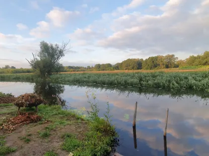Warnow (Bützow)