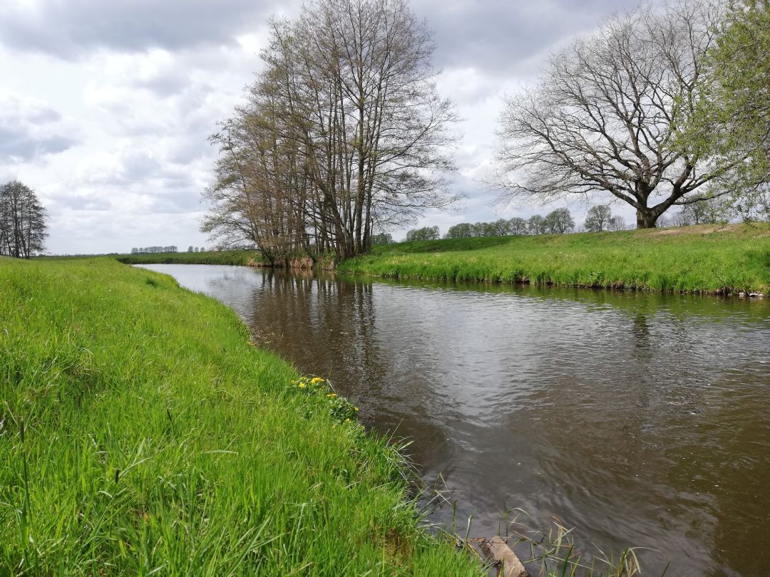 Rögnitz (Woosmer) angeln