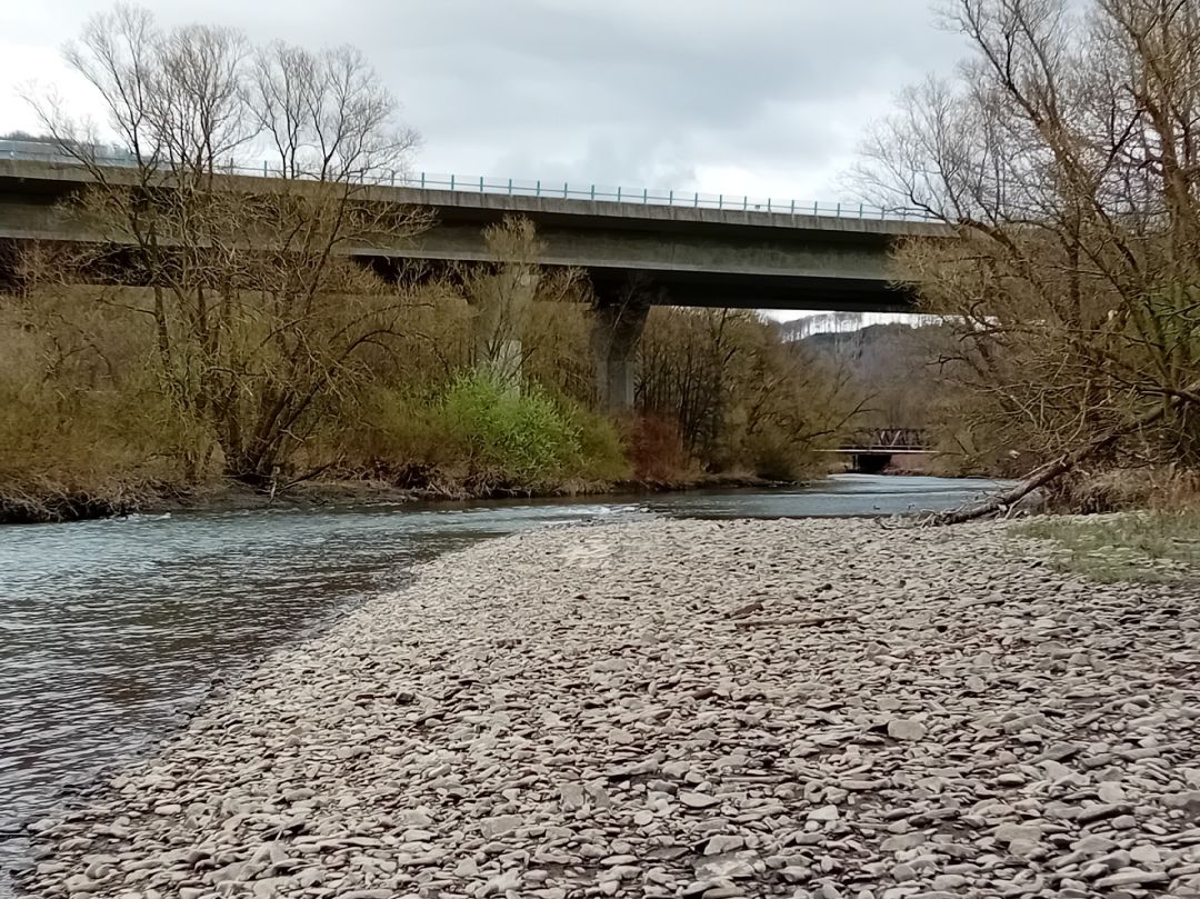 Ruhr (Arnsberg) angeln