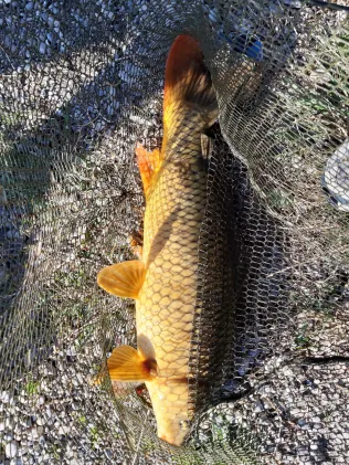 Lamerdinger Weiher