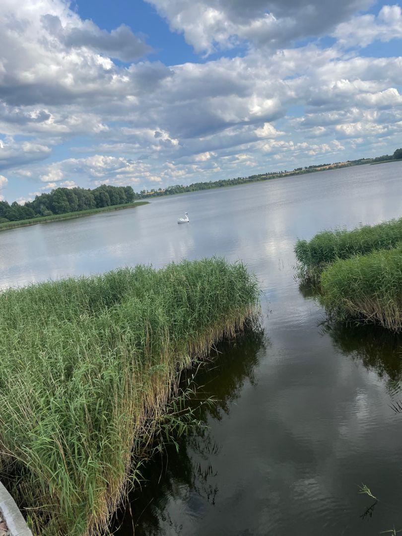 Jezioro Dzierzgoń angeln