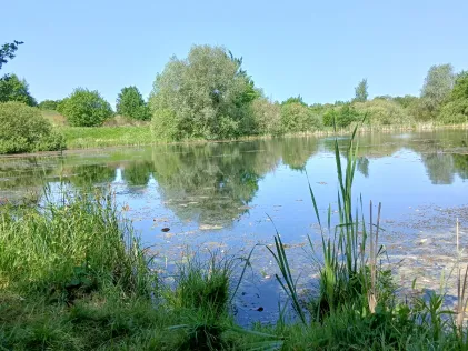 Großer Teich (Marlow)