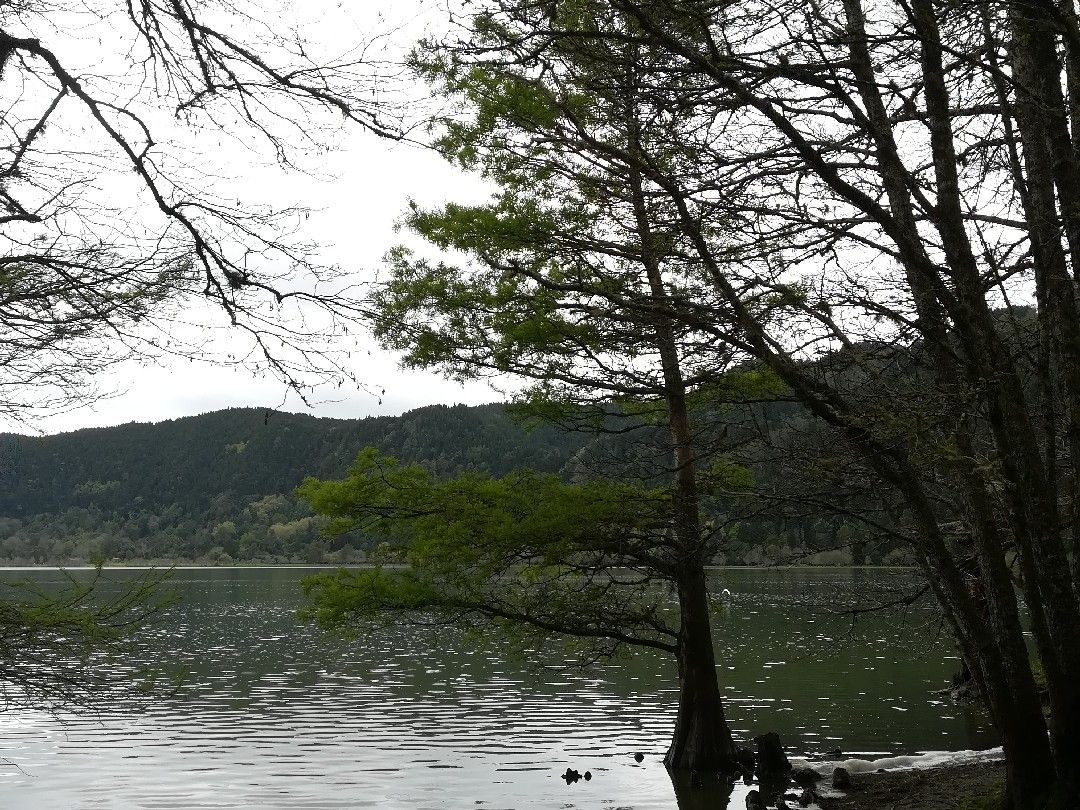 Lagoa das Furnas angeln