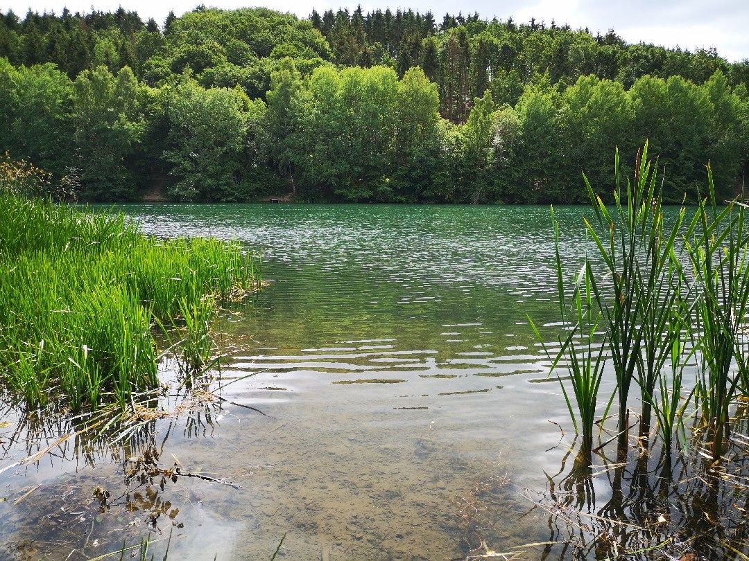 Freilinger See angeln