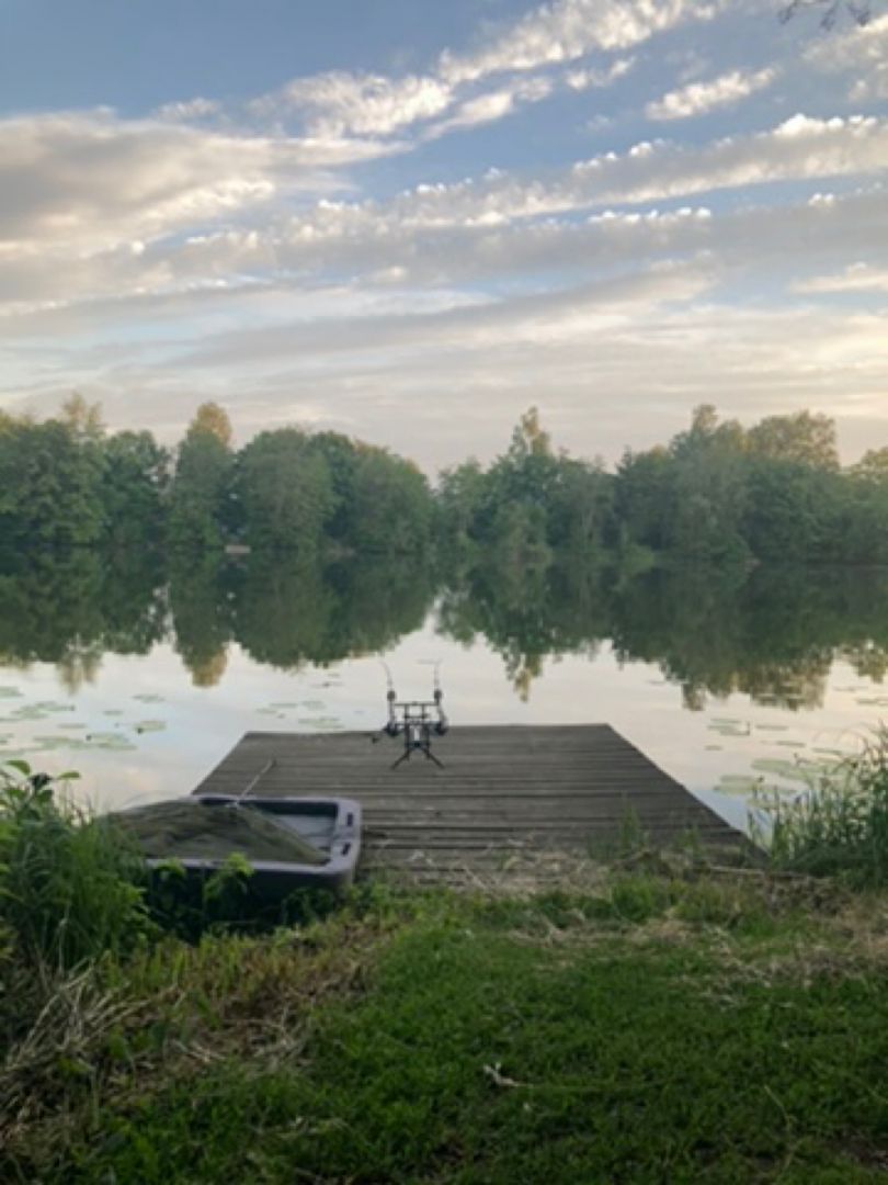 Waldseen ASV Hanau angeln