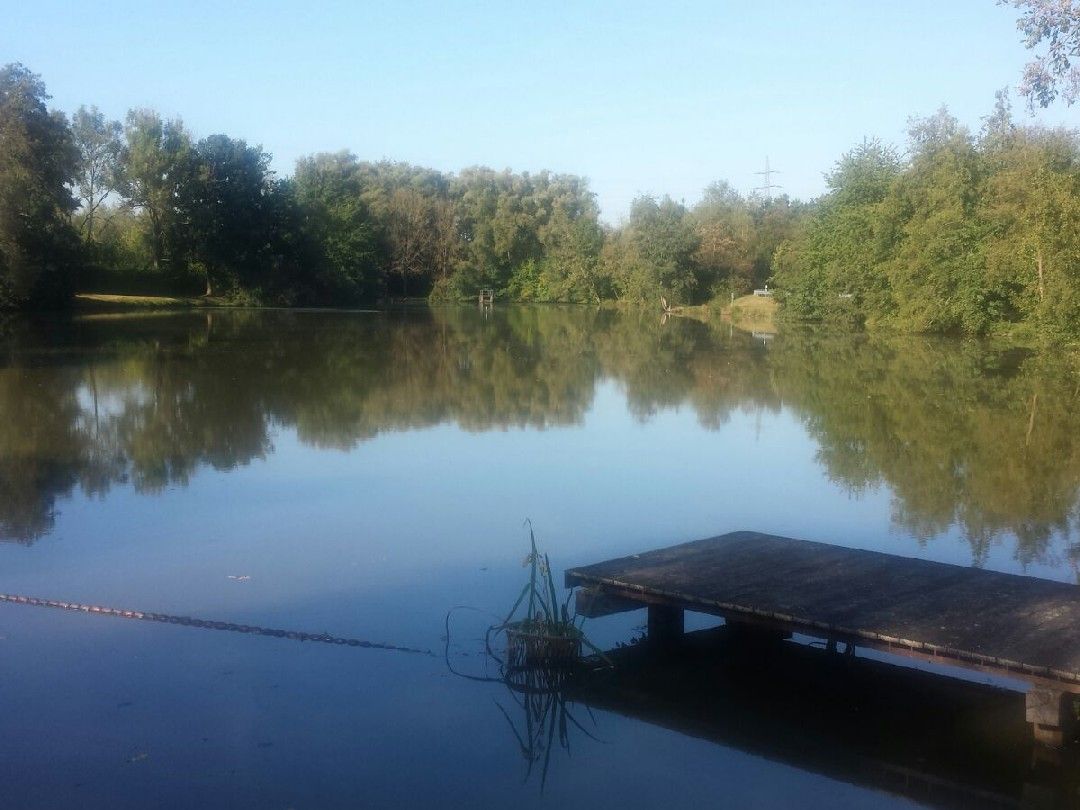 Mammelzer Weiher angeln