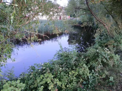 Dorfteich Beyersdorf