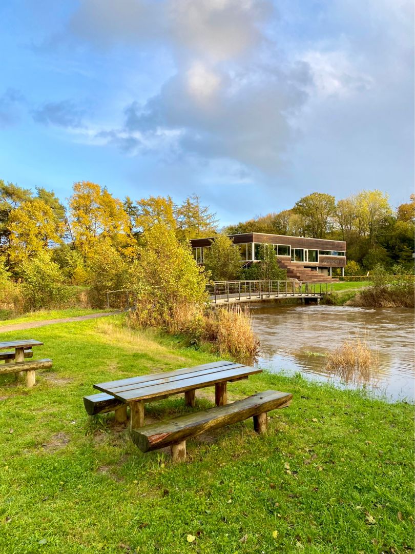 Vejle River angeln