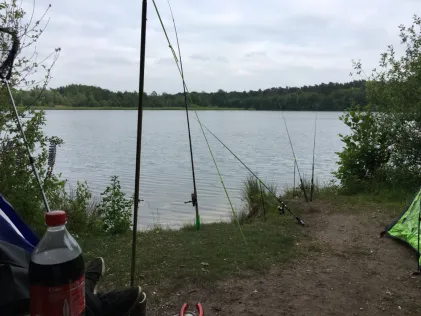 Großer Heidesee (Bad Laer)