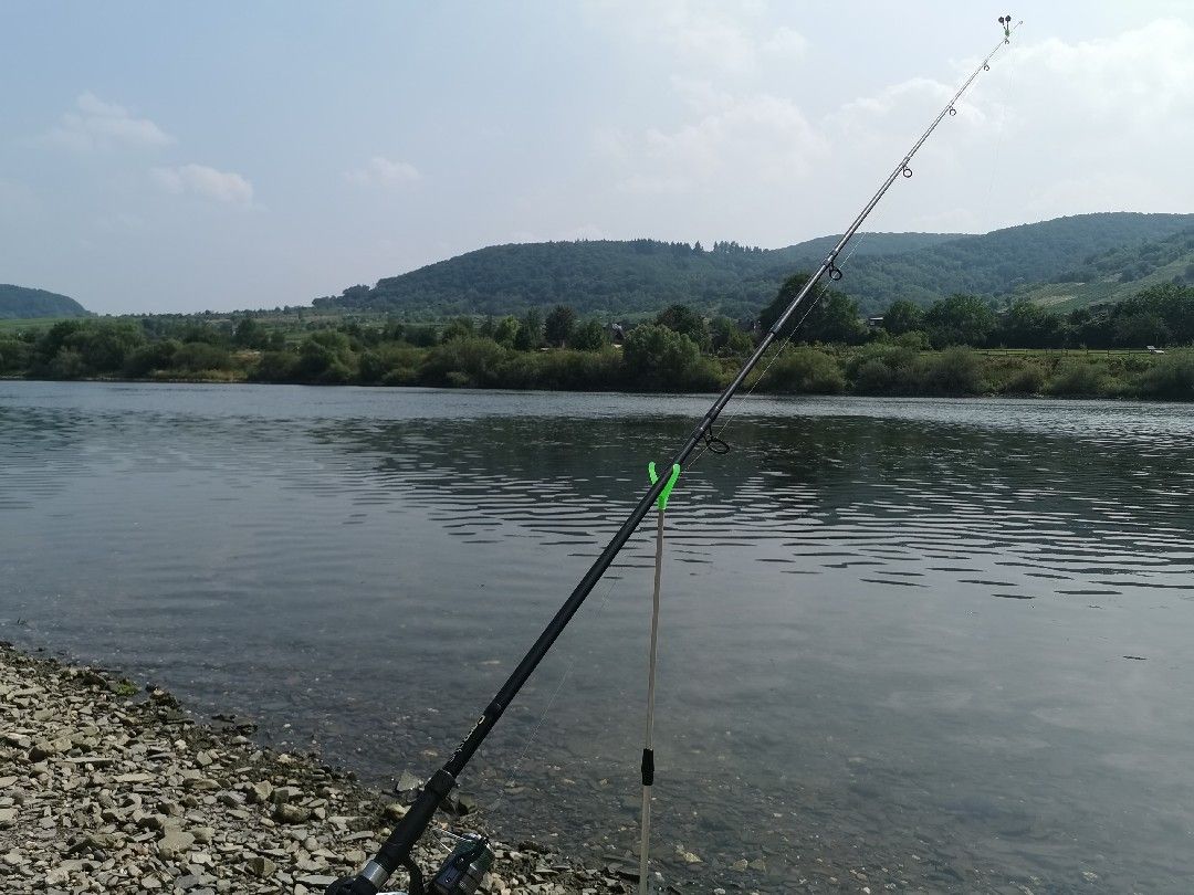 Mosel (Bullay-St. Aldegund) angeln