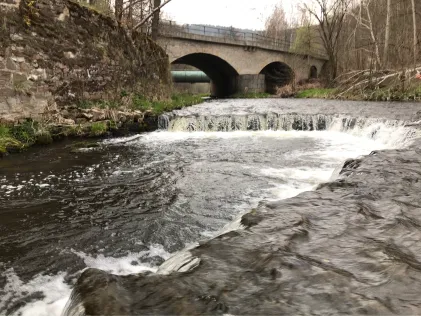 Schwarzwasser (Aue)
