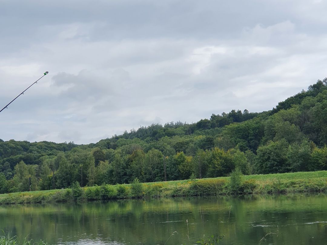 Angeln in Günzburg