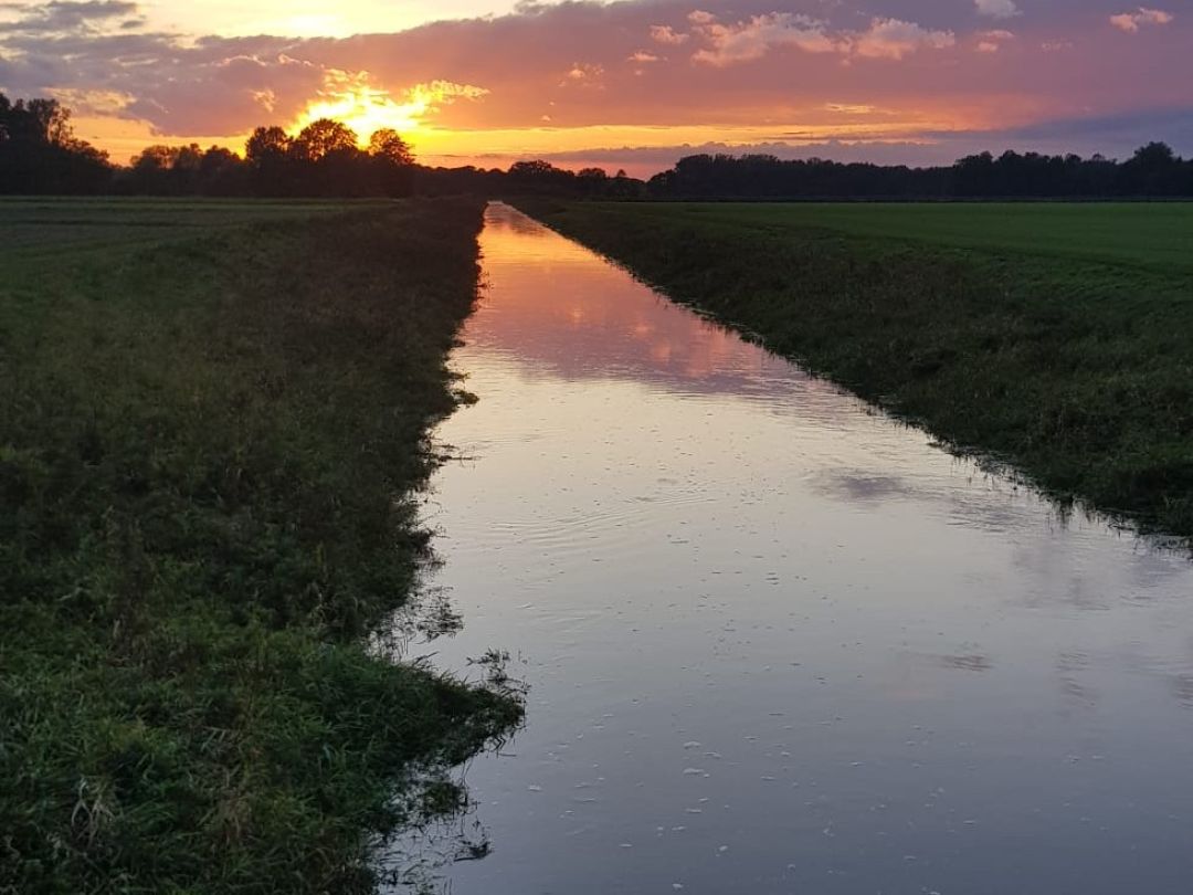 Fladderkanal angeln