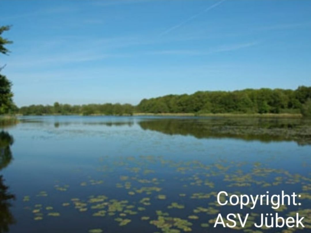 Mühlenteich (Bollingstedt) angeln