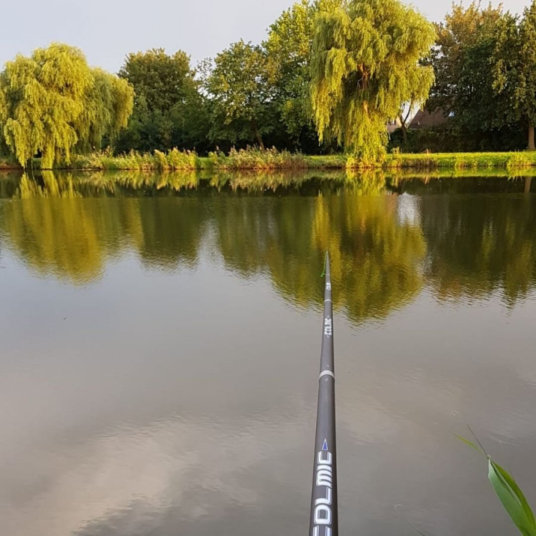 Butendiekteich (Glückstadt) angeln