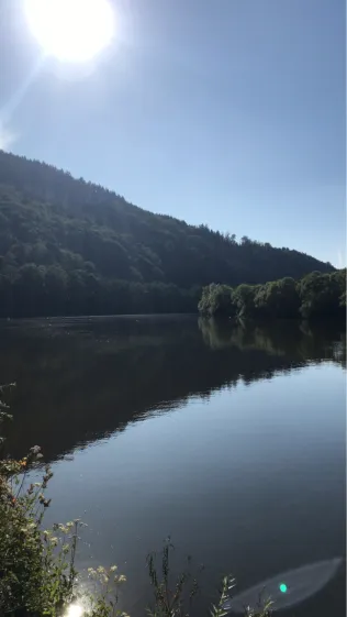 Main (Dorfprozelten)
