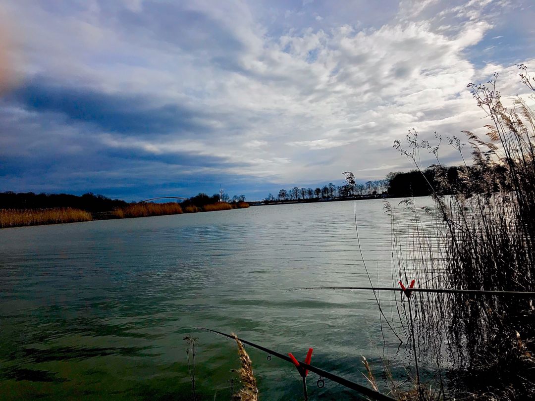 Elbe-Seitenkanal (Isenbüttel-Calberlah) angeln