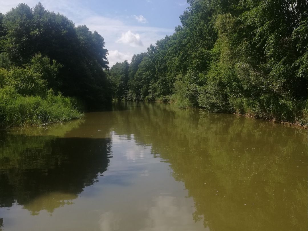 Kammerkanal (Neustrelitz) angeln