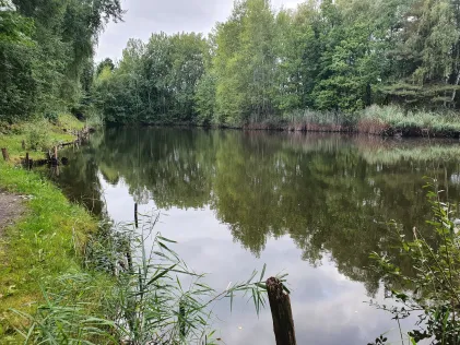 Mauersteinlöcher Kodersdorf