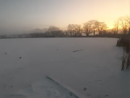 Karpfenteiche Groß Lüsewitz