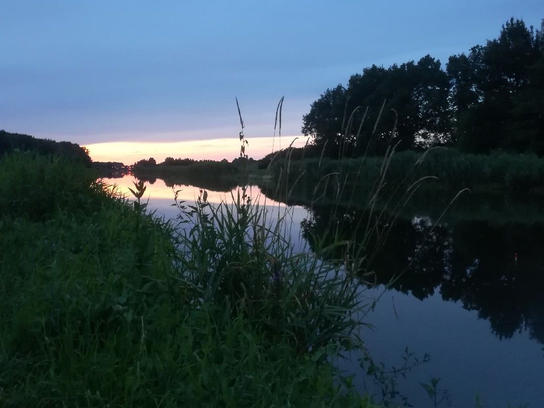 Elbe-Lübeck-Kanal (Rondeshagen) angeln