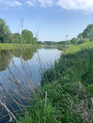 Elbe-Lübeck-Kanal (Rondeshagen)