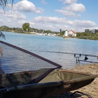 Bassin des Mouettes