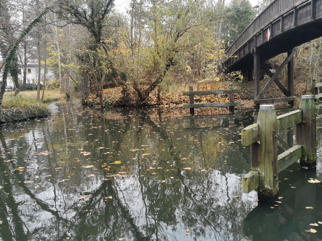 Nottekanal (Königs Wusterhausen) angeln